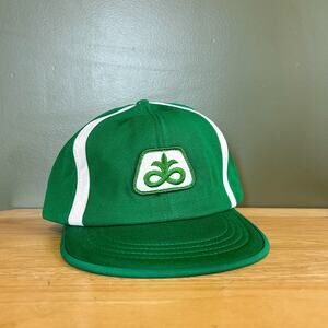 Vintage Northern Cap Pioneer Seed Corn Green White Patch Snapback Hat
